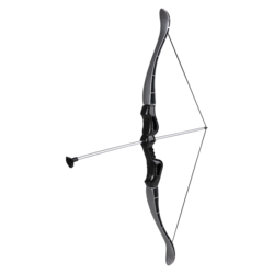 Bow And Arrow Set
