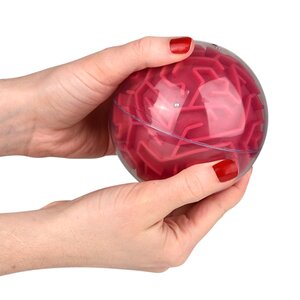Maze Ball Asmt