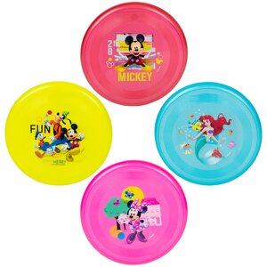 Disney Flyer Asmt